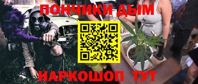 шишки Кандалакша