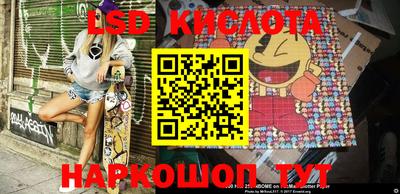 шишки Кандалакша
