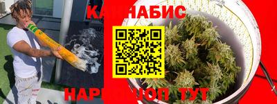 шишки Кандалакша