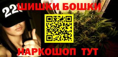 шишки Кандалакша