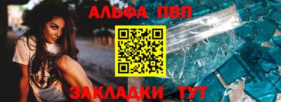 шишки Кандалакша