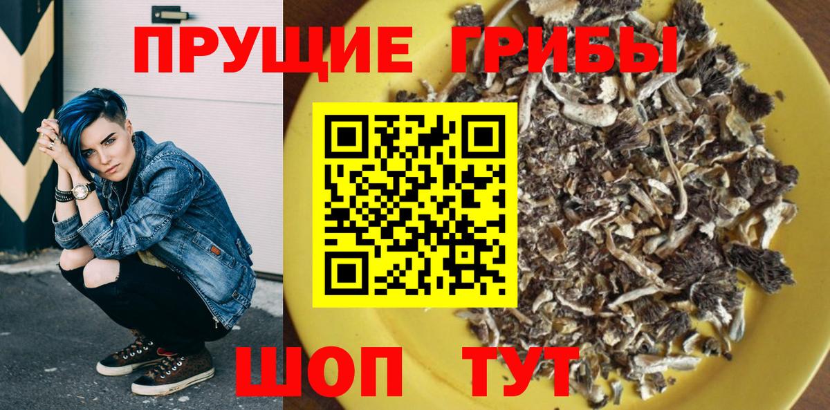закладка  Вход с VPN  Приморско-Ахтарск  Галлюциногенные грибы ЛСД 