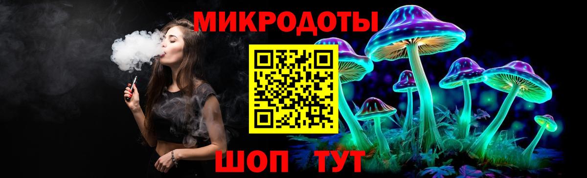 Псилоцибиновые грибы Psilocybe Приморско-Ахтарск